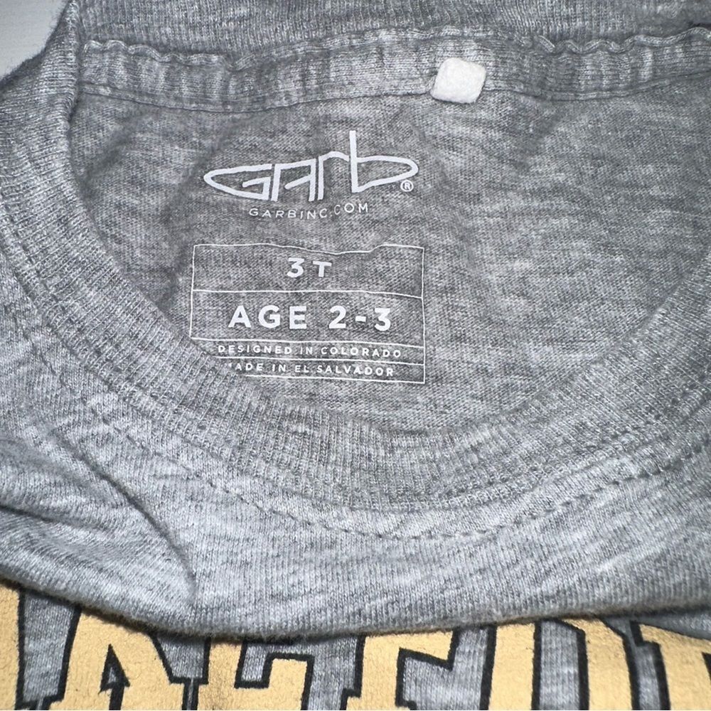 Wake Forest Demon Deacons Toddler T-Shirt Size 3T Gray Graphic Tee NCAA Kids - Picture 3 of 3